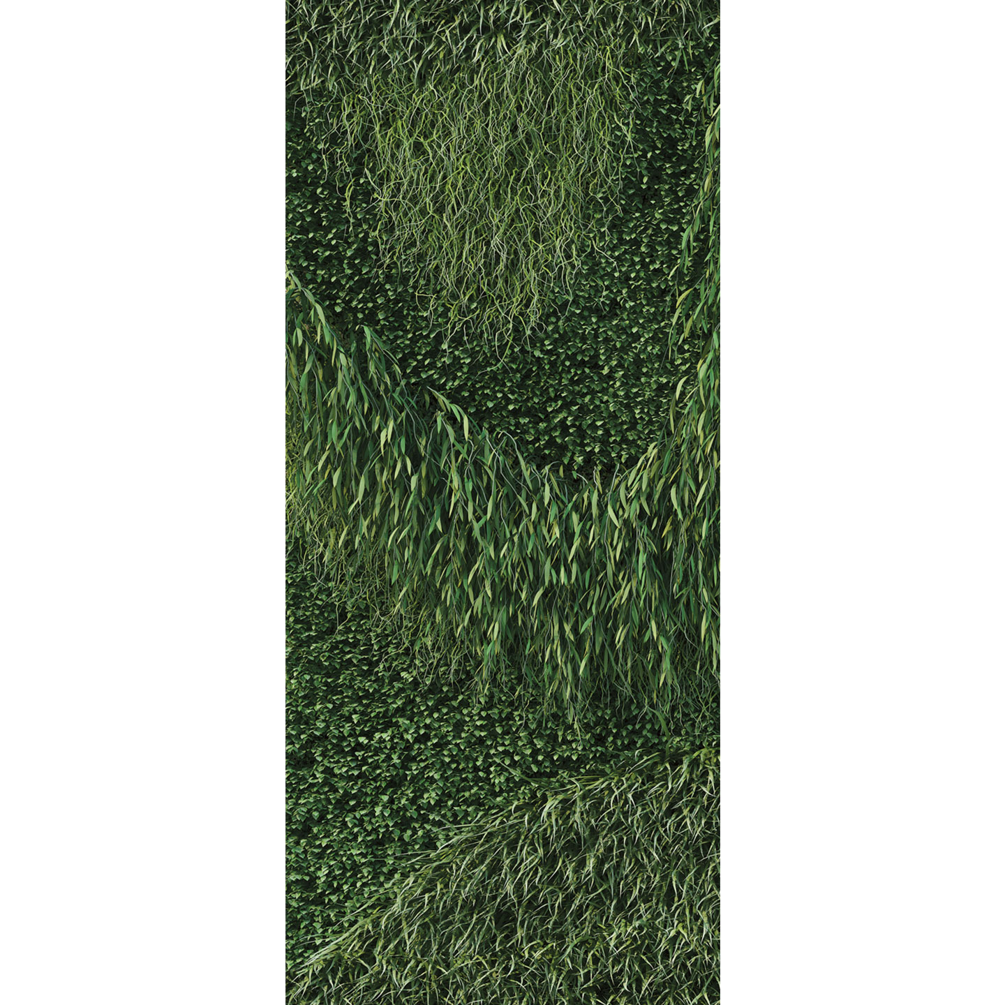 Haworth Buzziskin accessories wallpaper with green plant design