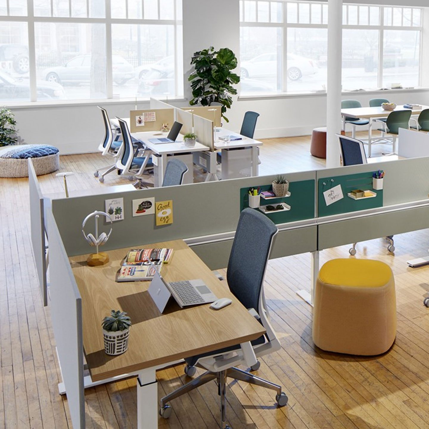 Haworth Belong Screen Plus in open office space dividing desks