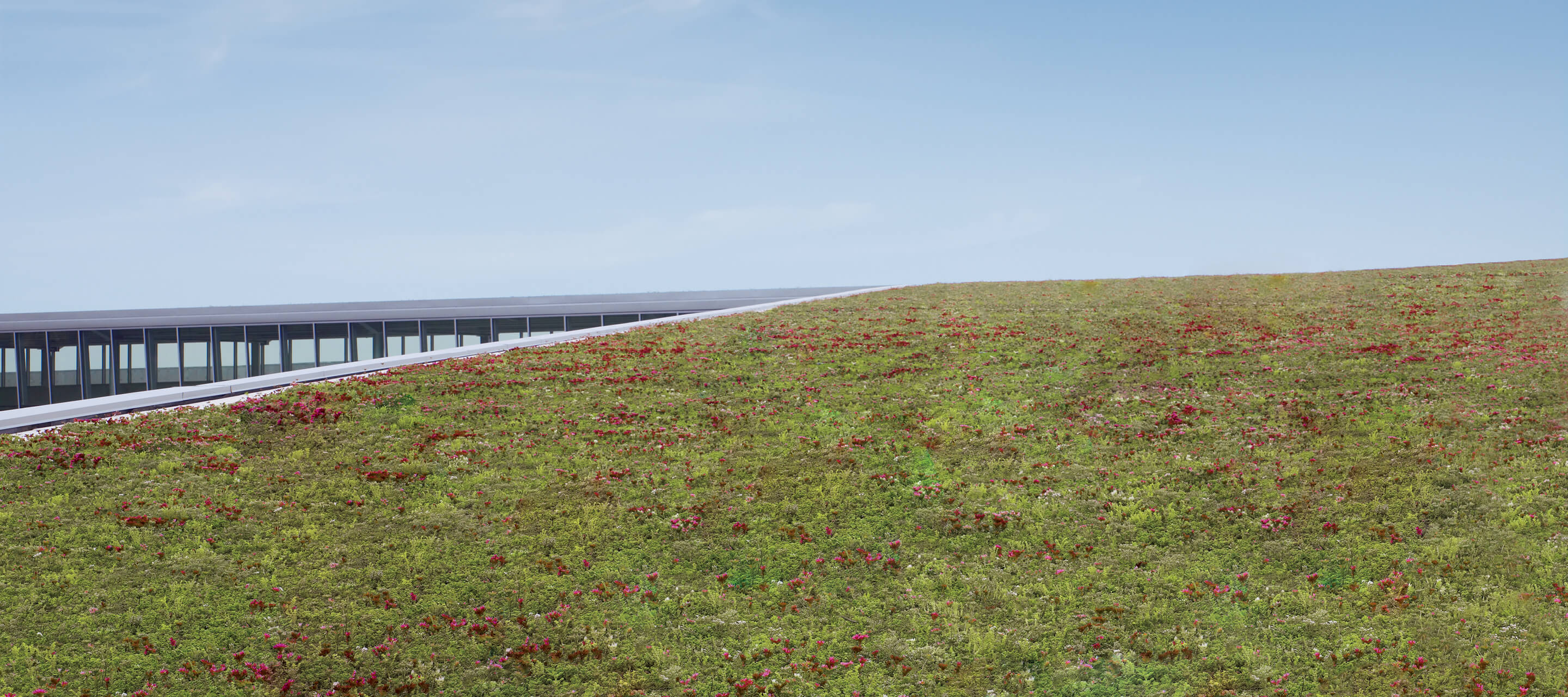 A scenic green view in an open space overlooking a bridge view 1