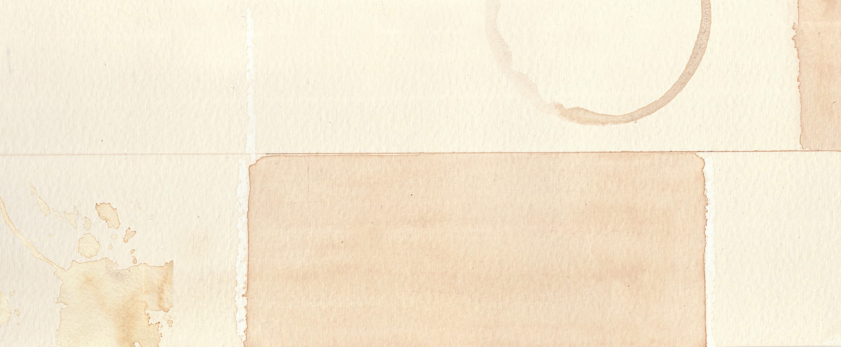 bannerImage
