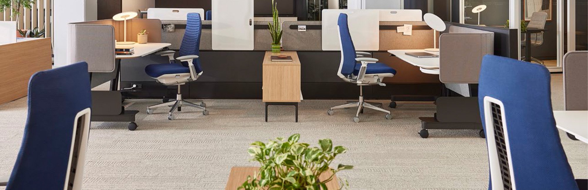 Haworth Fern & Compose in a office space