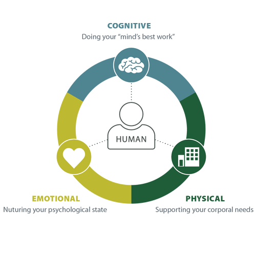 connection between cognitive emotional and physical health