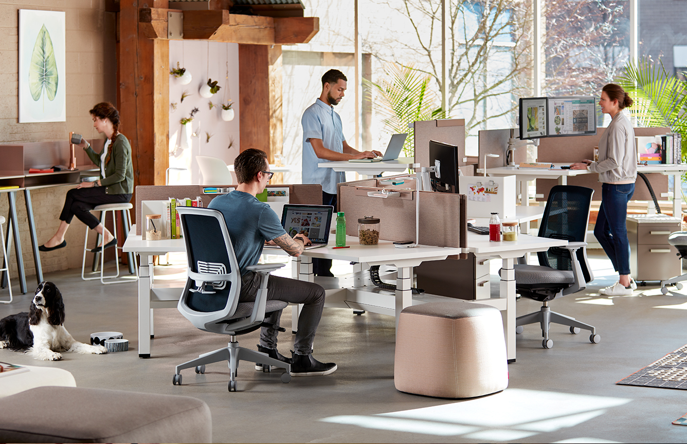 Natural lit office with sit to stand desks and soji office chairs.