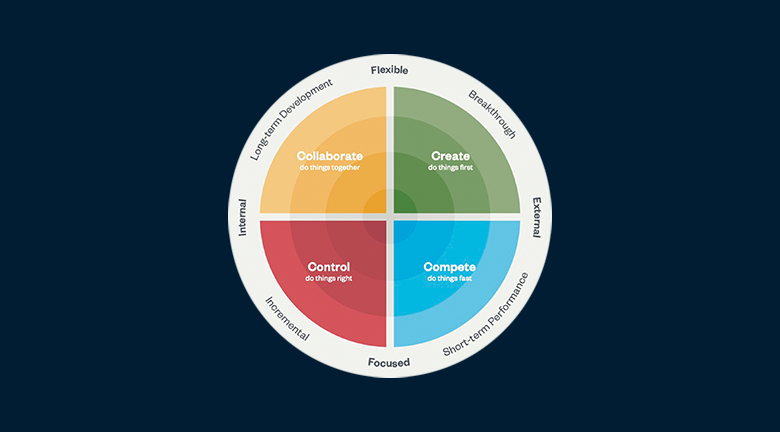 Graphical representation of culture types