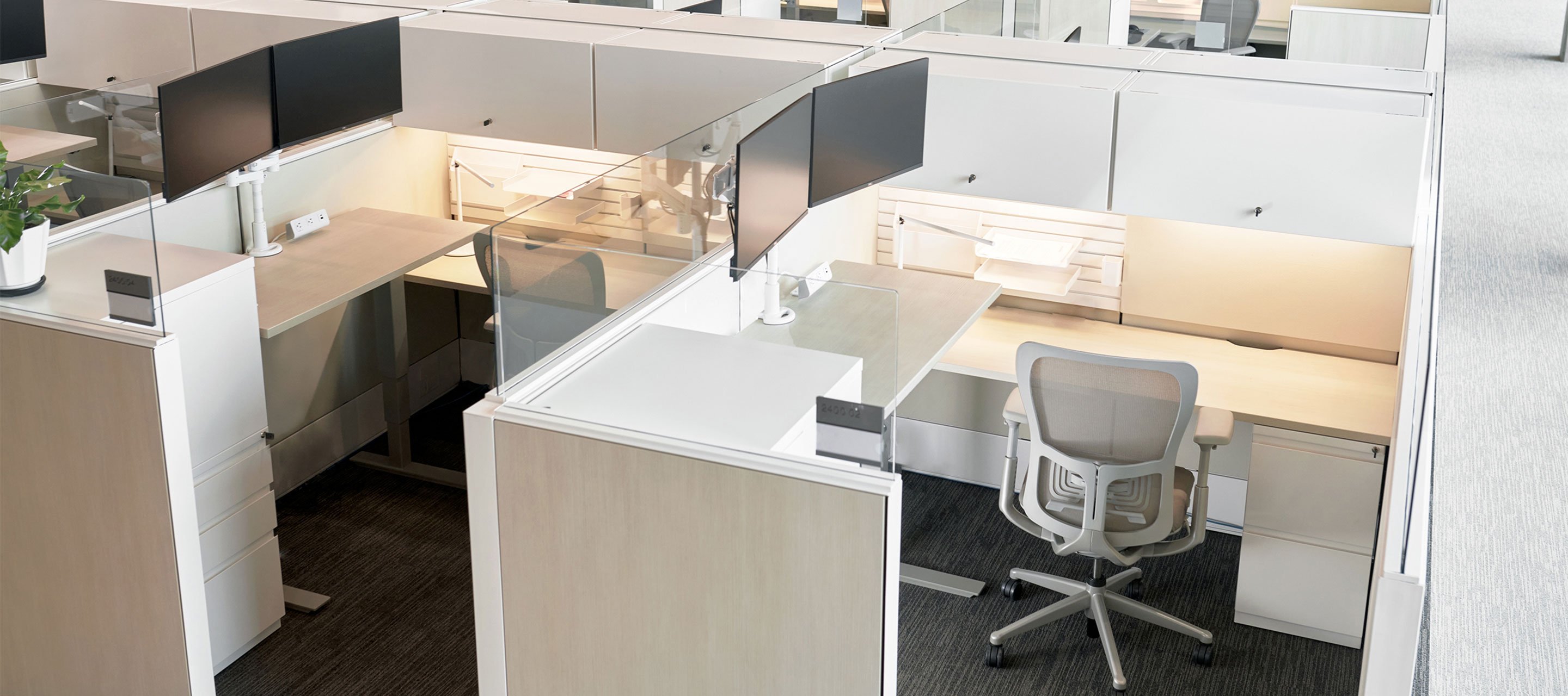 Haworth Zody chair and workstations being used in Dolese workspace