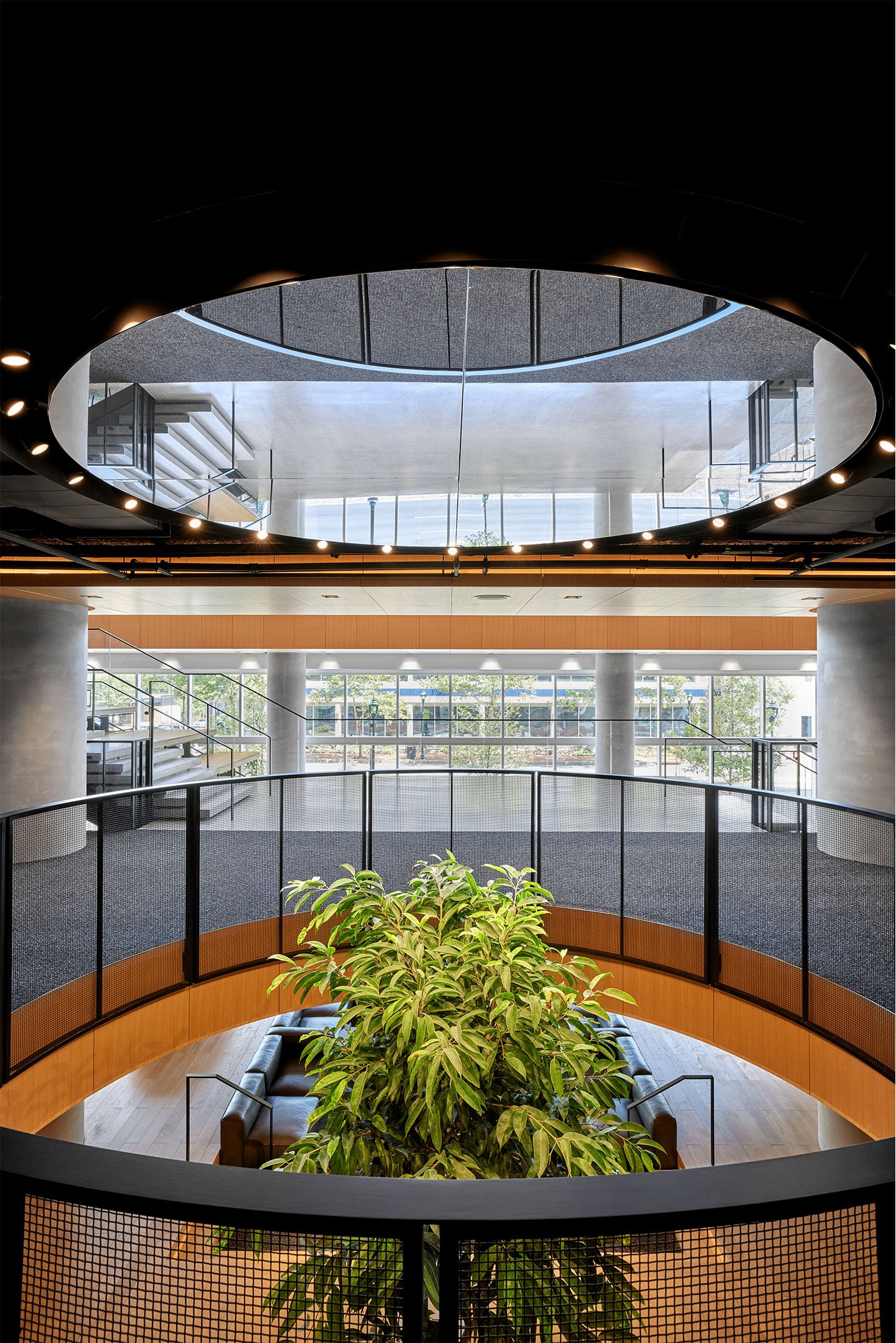 Biophilia in Marriott office