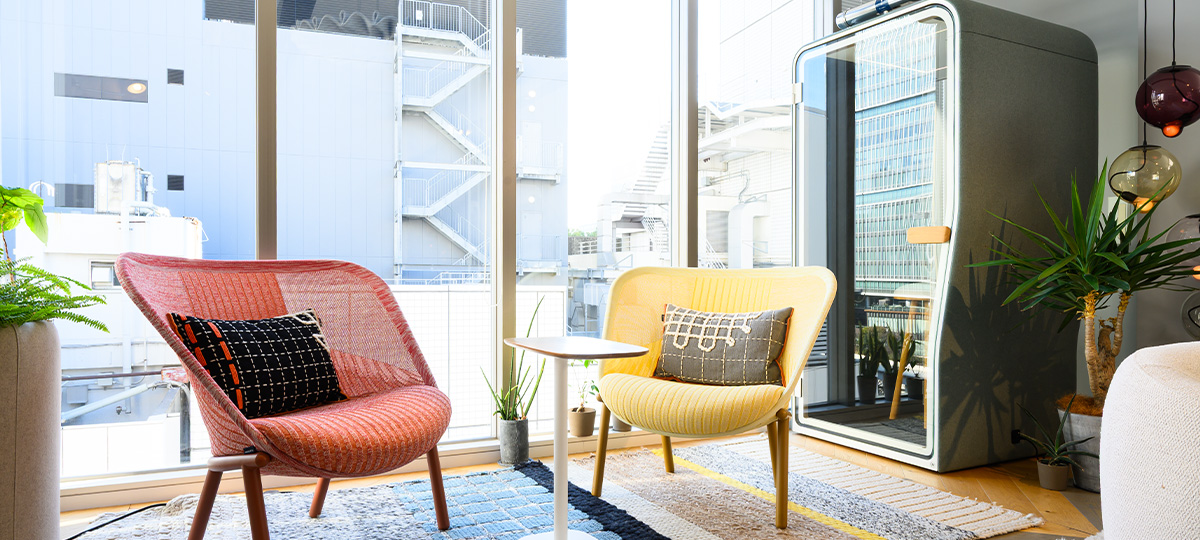 Cardigan and Pip in a light‑filled, biophilic showroom