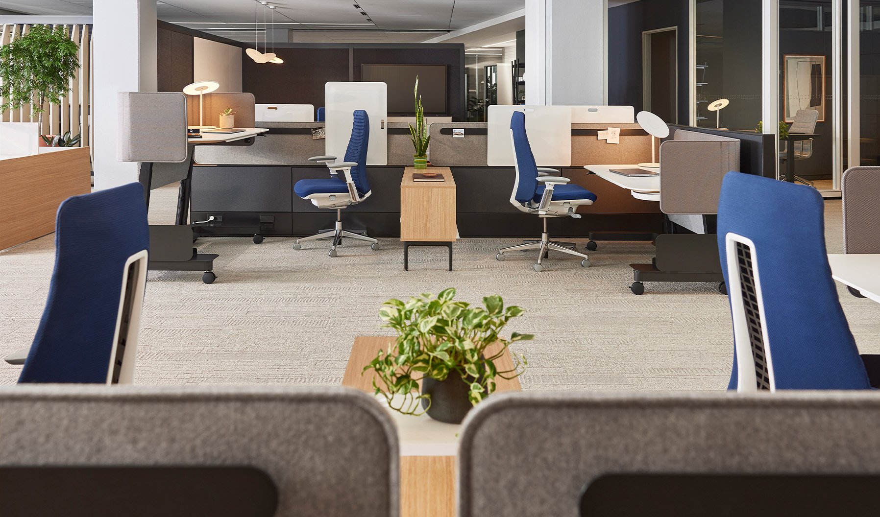 Haworth Fern task chair in Washington DC Showroom