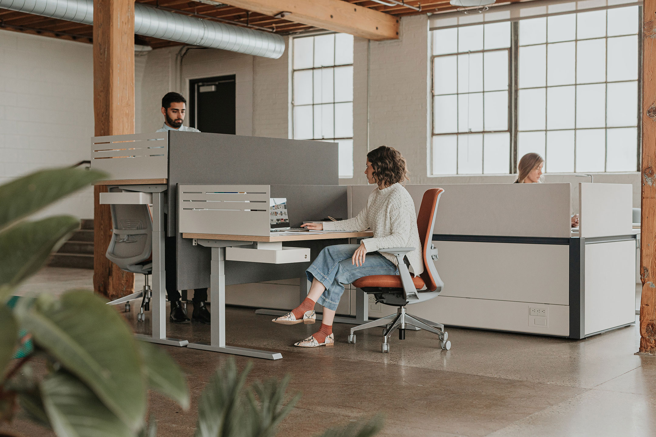 Haworth Compose Workspace in office space with employees working at desks with dividers for privacy between them
