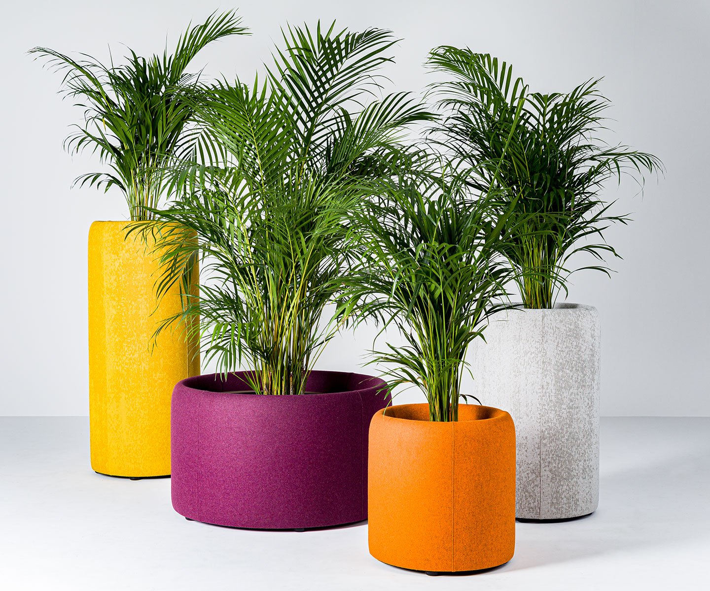 BuzziPlanter - acoustic plant pot