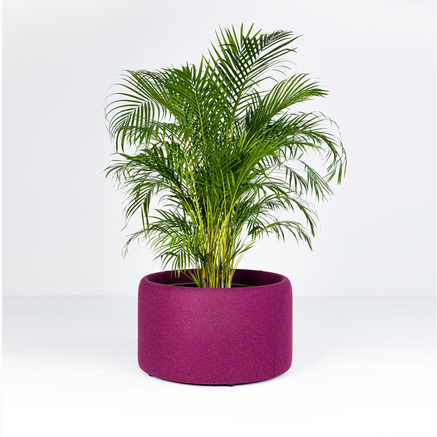 BuzziPlanter - acoustic plant pot