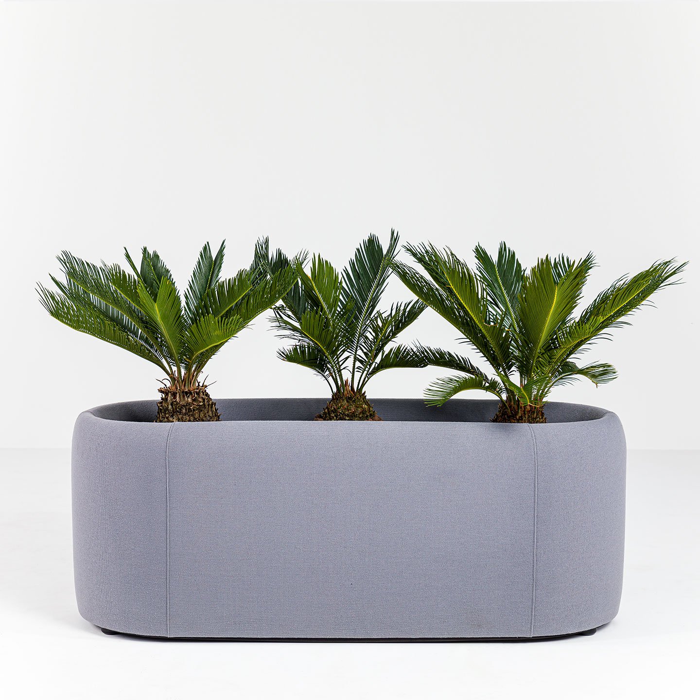 BuzziPlanter - acoustic plant pot