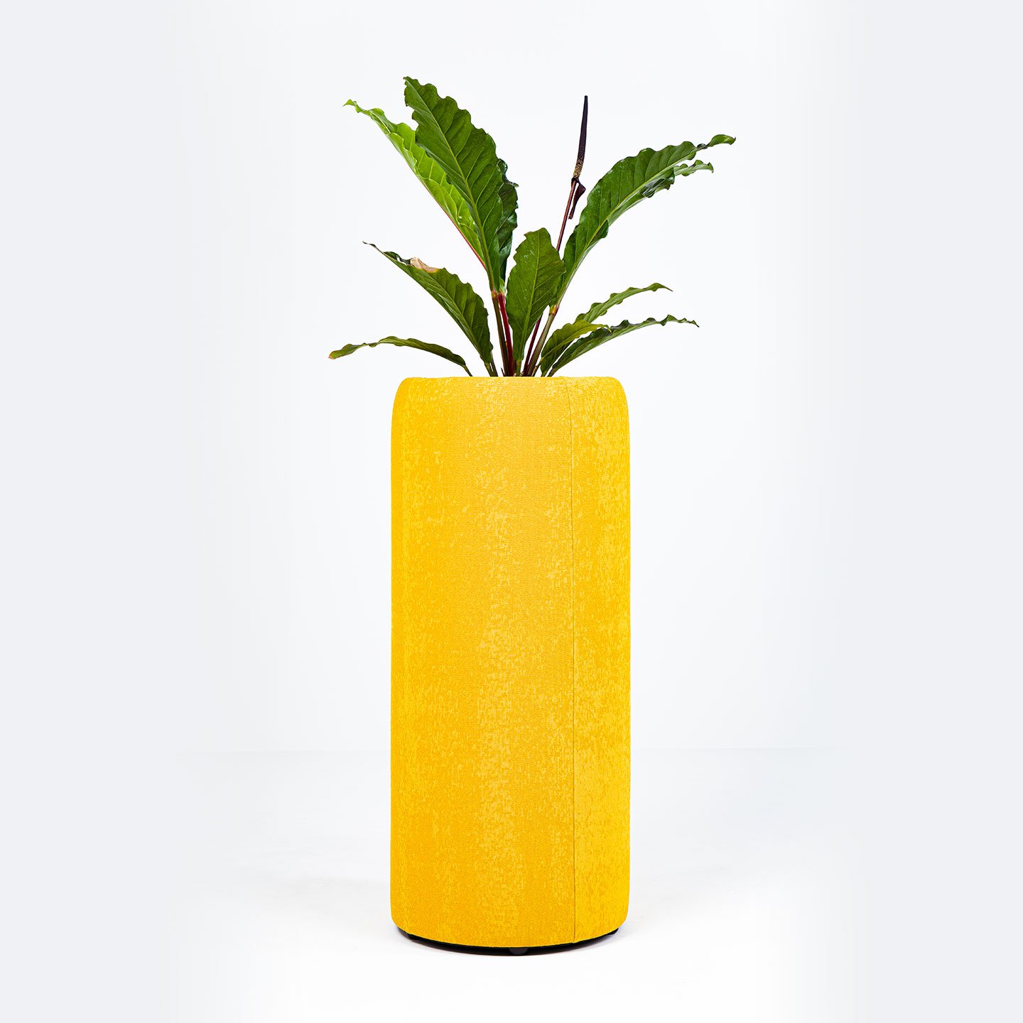 BuzziPlanter - acoustic plant pot