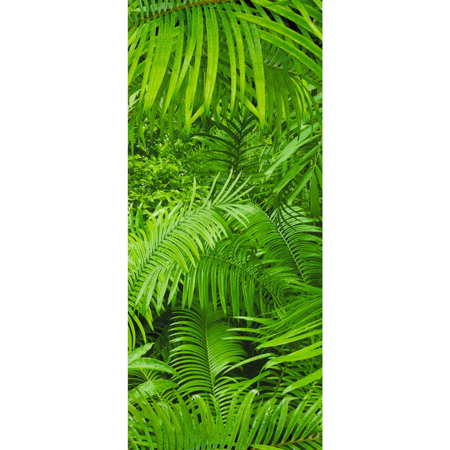 Haworth BuzziSkin Accessories Wallpaper with jungle fern design