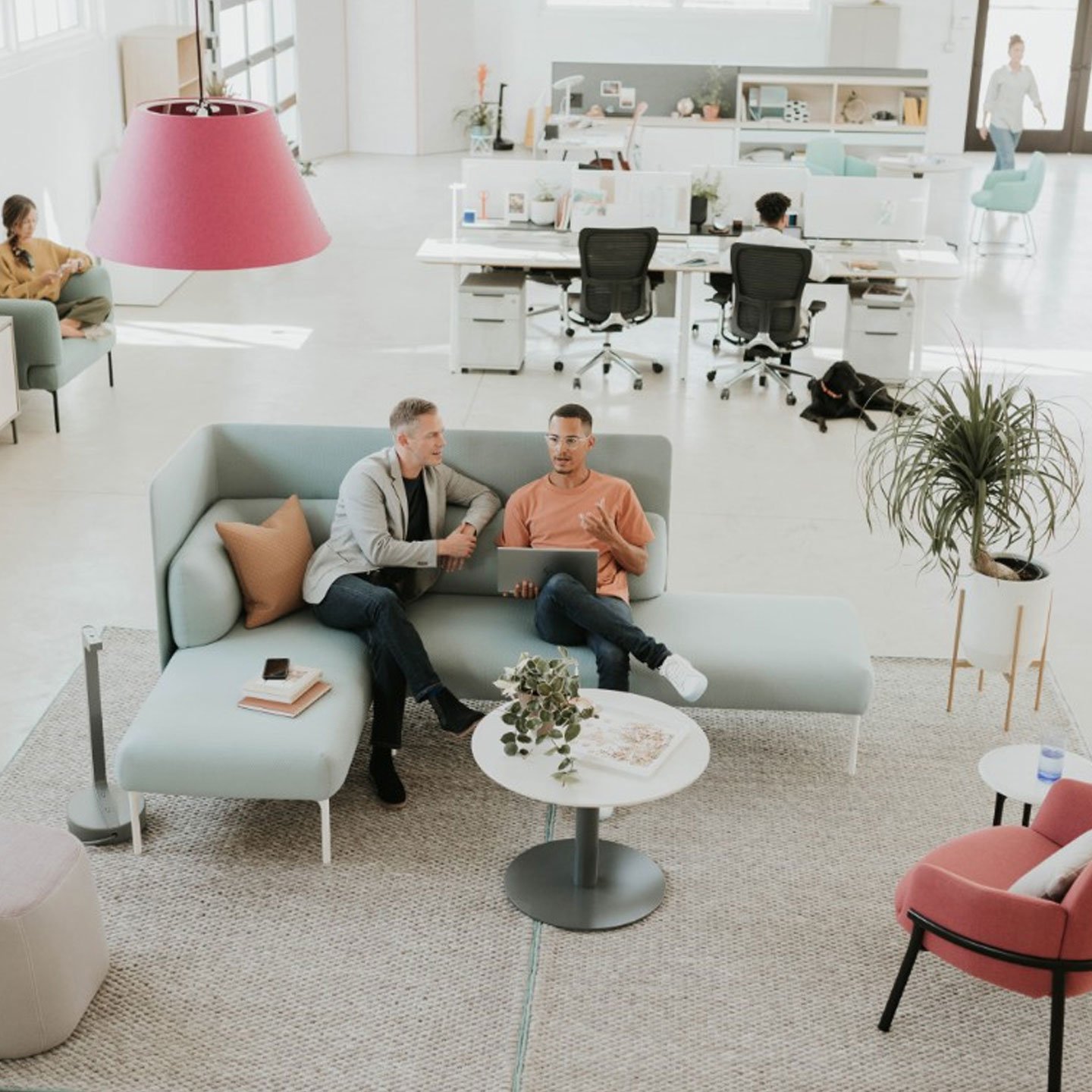 Haworth Cabana Lounge in grey color in open office space with employees working at space and at desks