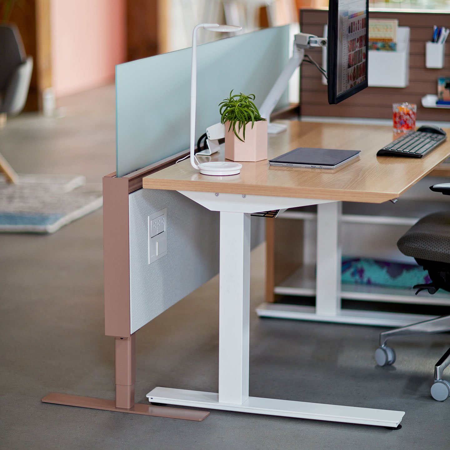 Haworth Compose Connections workspace divider in office space with height adjustable table and monitor arm