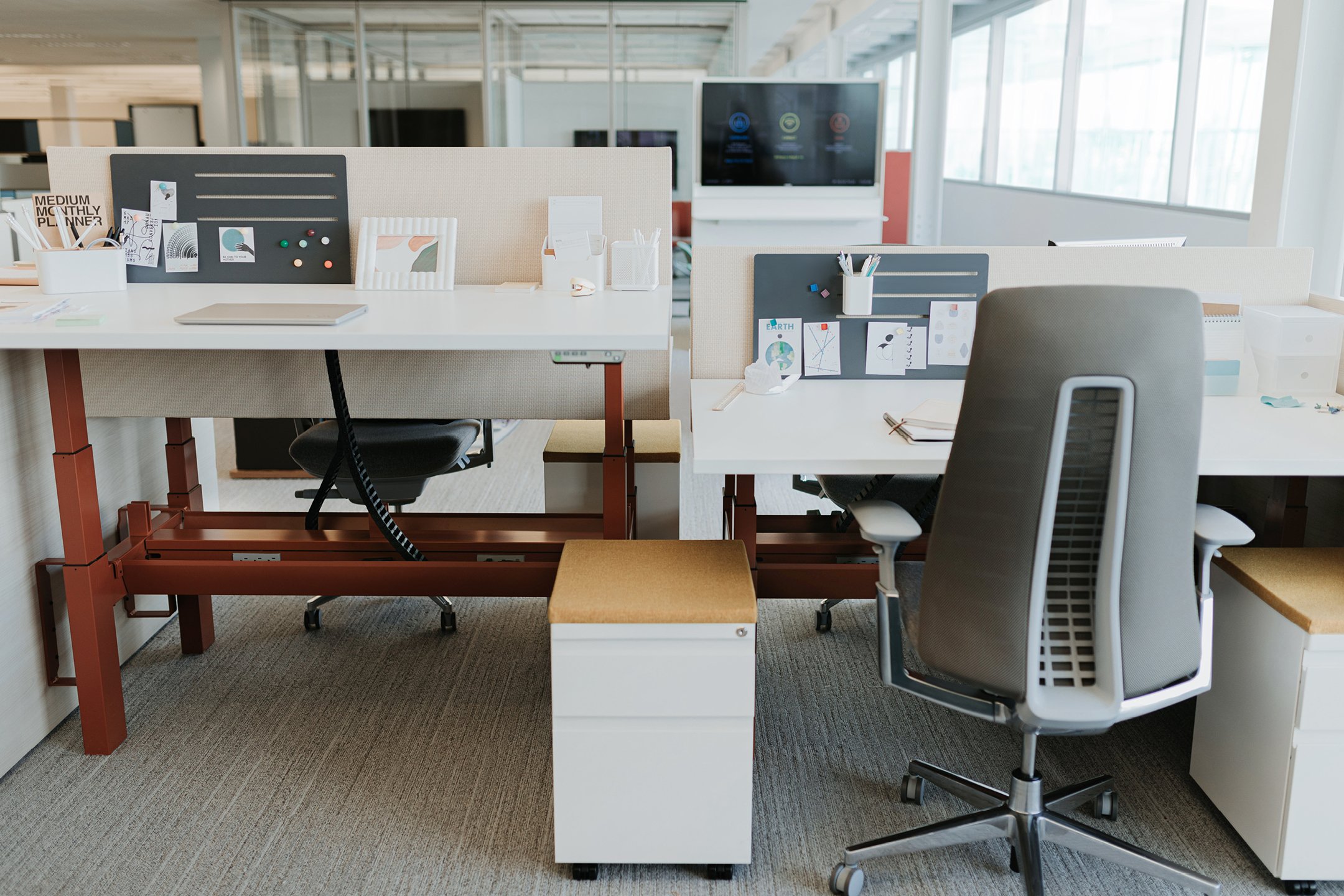 Haworth Planes LT Height Adjustable Benching Workspace veneer desks in office mock up with blue dividers between desks and one is raised