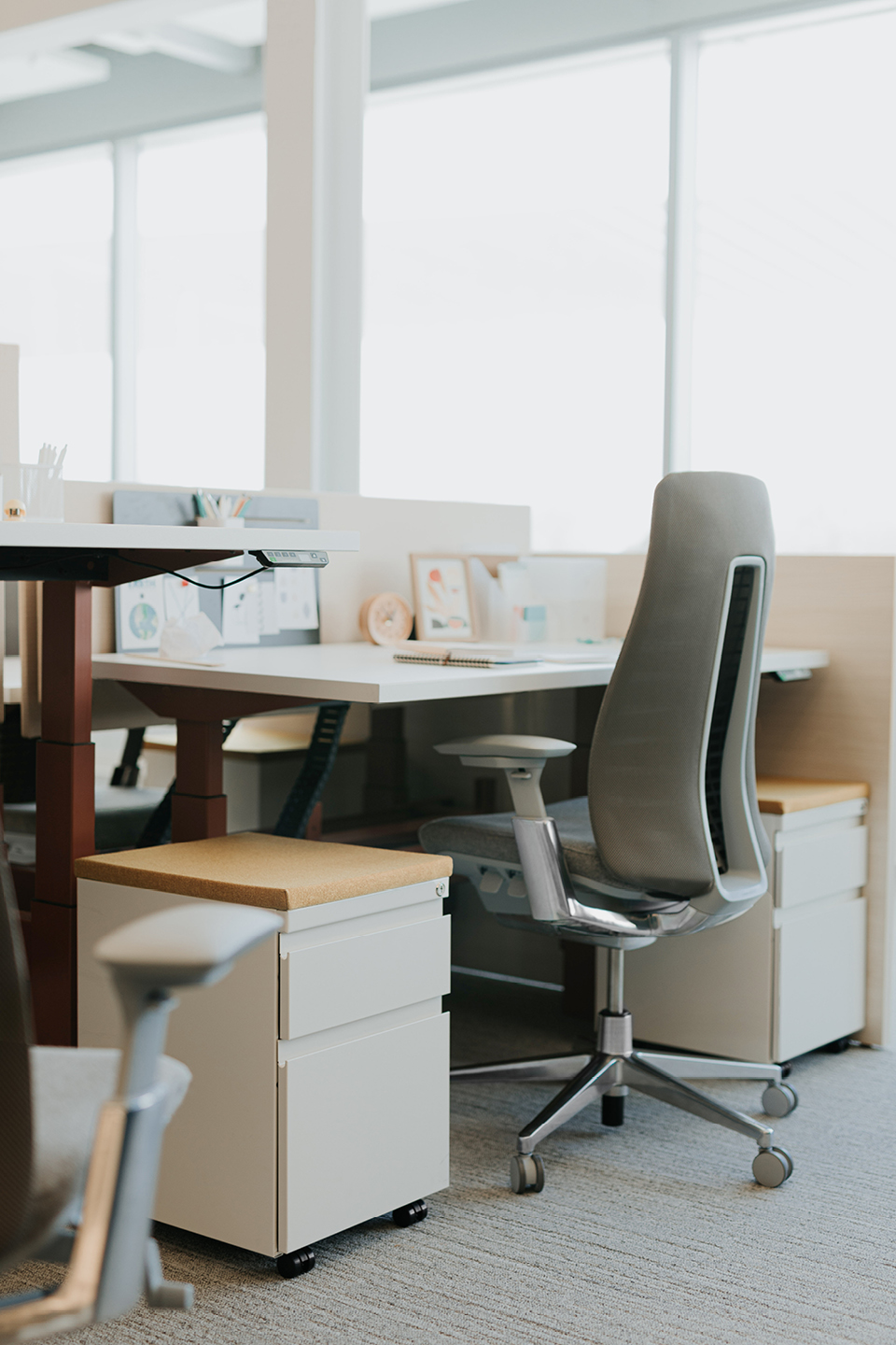 Haworth Planes LT Height Adjustable Benching Workspace veneer desks in office mock up with blue dividers between desks and one is raised