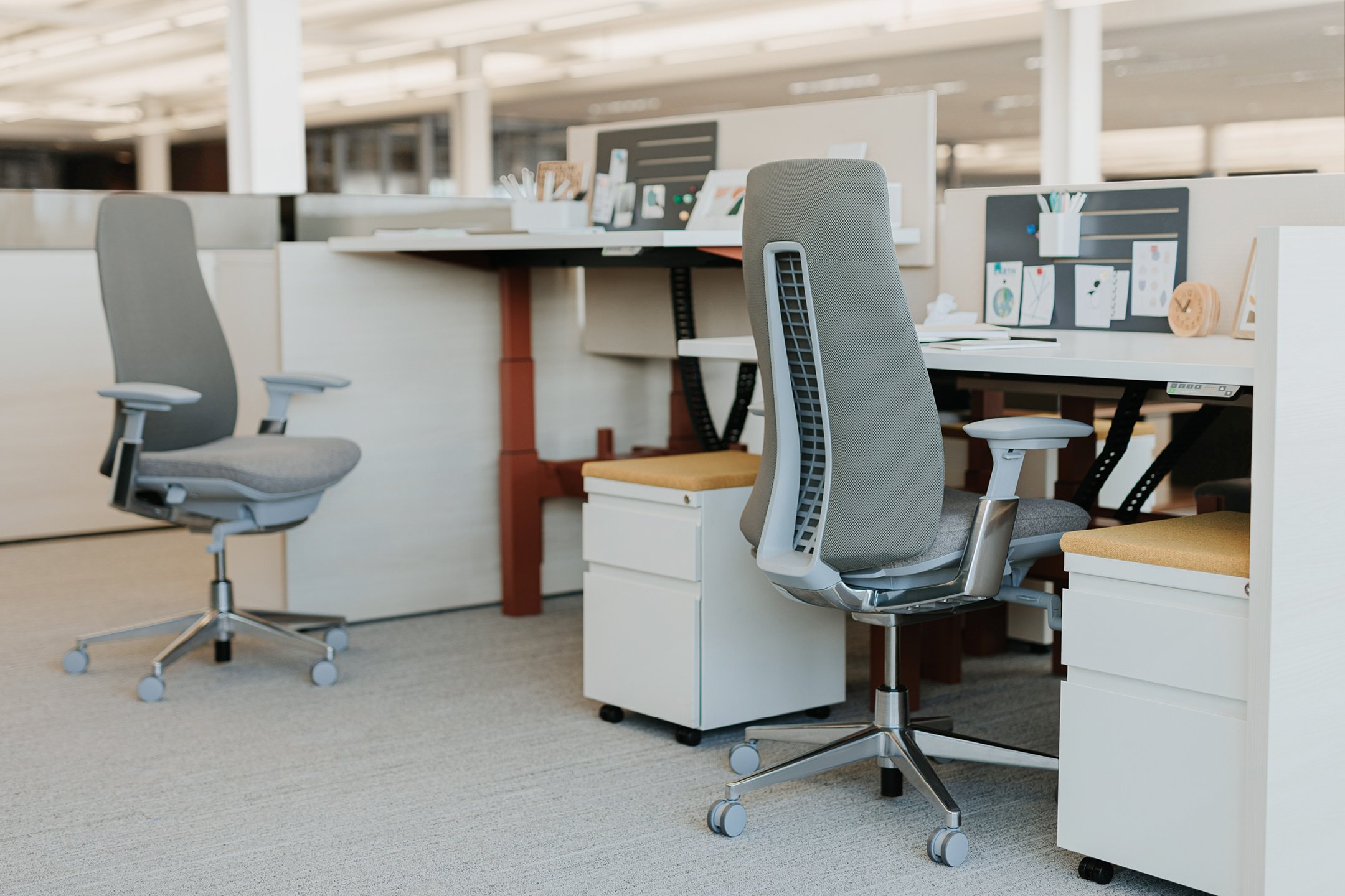 Haworth Planes LT Height Adjustable Benching Workspace veneer desks in office mock up with blue dividers between desks and one is raised