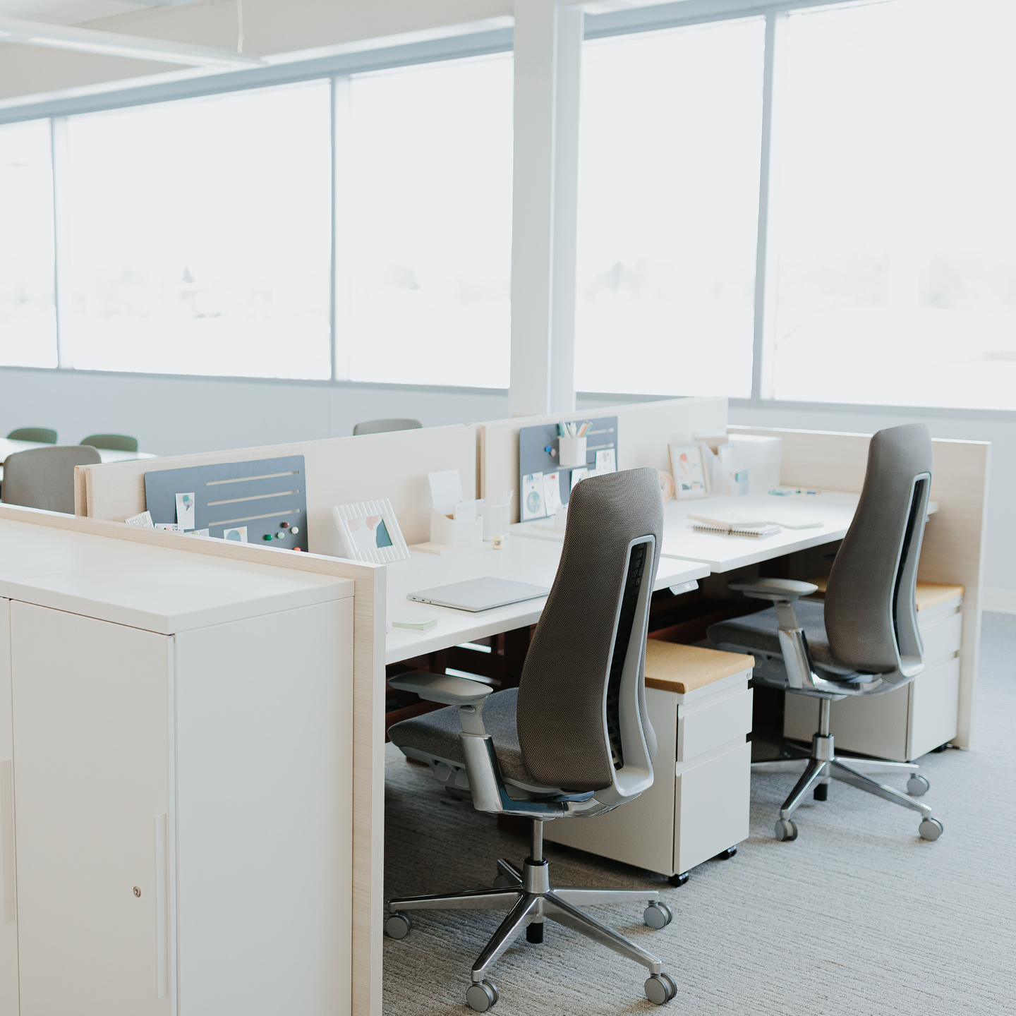 Haworth Planes LT Height Adjustable Benching Workspace veneer desks in office mock up with blue dividers between desks and one is raised