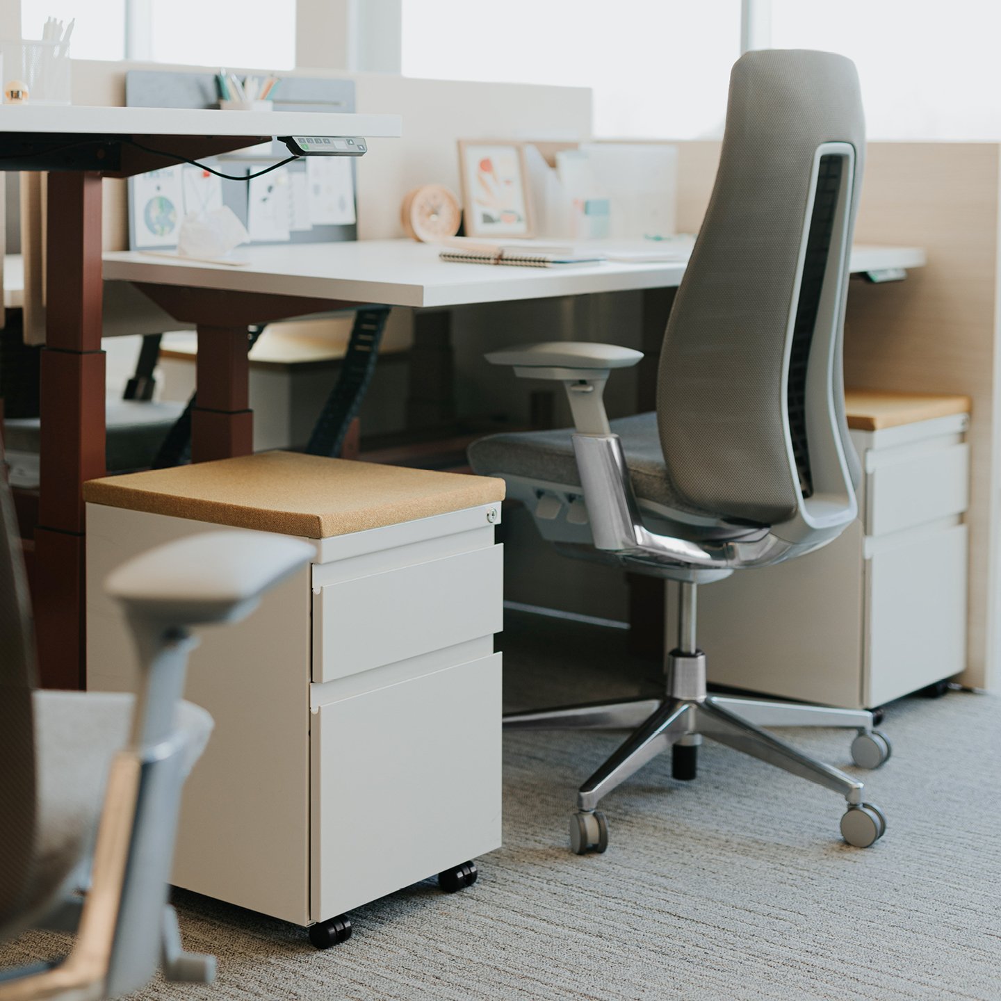 Haworth Planes LT Height Adjustable Benching Workspace veneer desks in office mock up with blue dividers between desks and one is raised