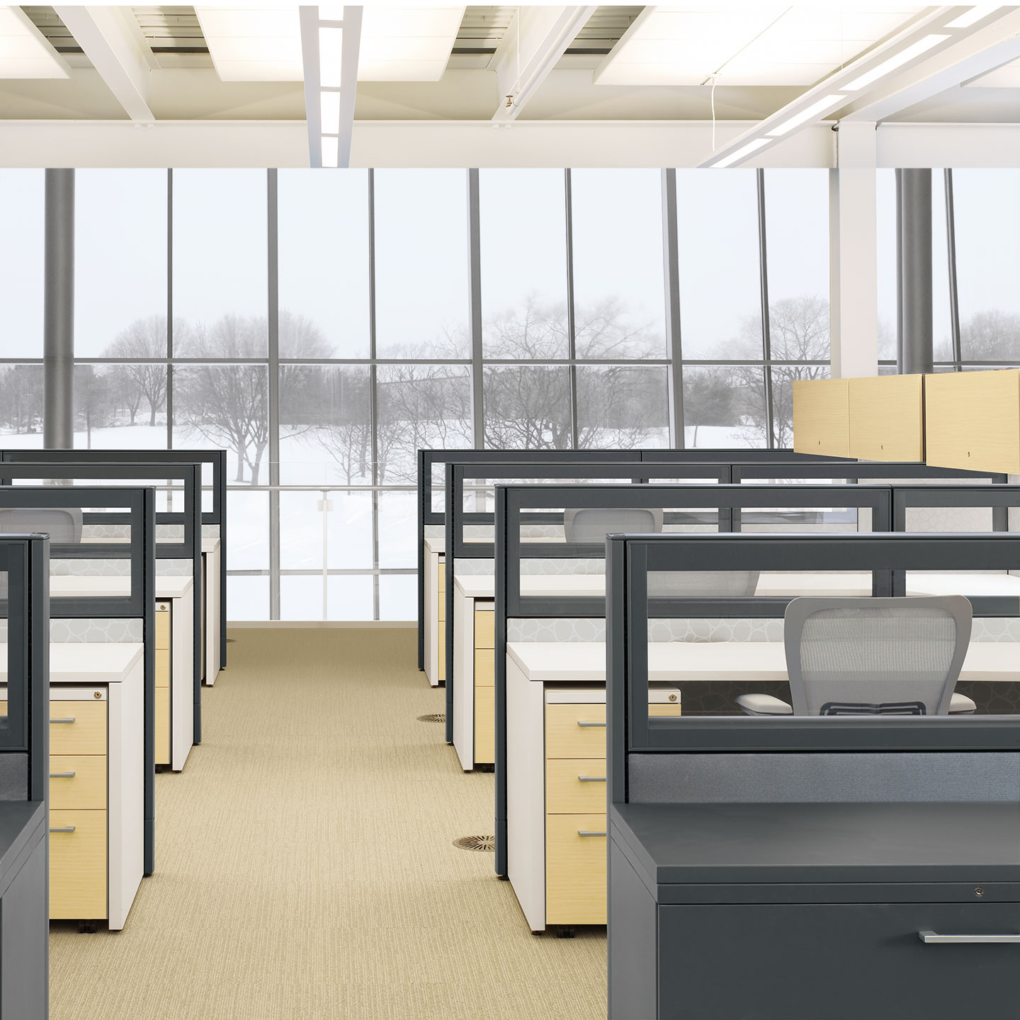 Haworth Premise Workspace in office space with dividers for privacy and storage shelves next to chairs