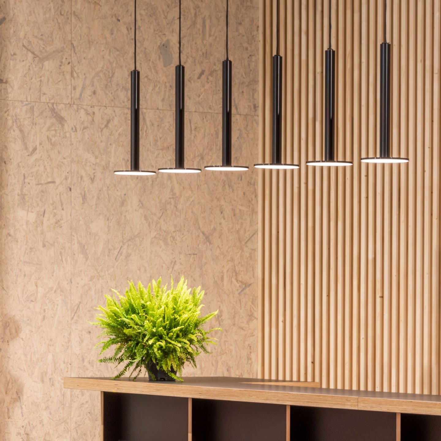 Haworth Cielo XL Lighting in steel above lobby desk with plant on table and wooden back walls