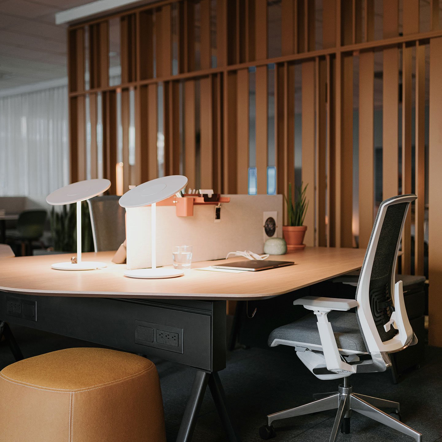 Haworth CIrca Lighting on shared desk space in open office with divider between the desks