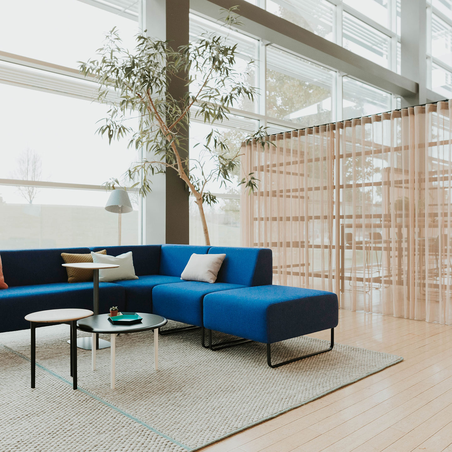 Haworth Lana Lighting floor lamp in white color above a blue couch in a open office space lounge area