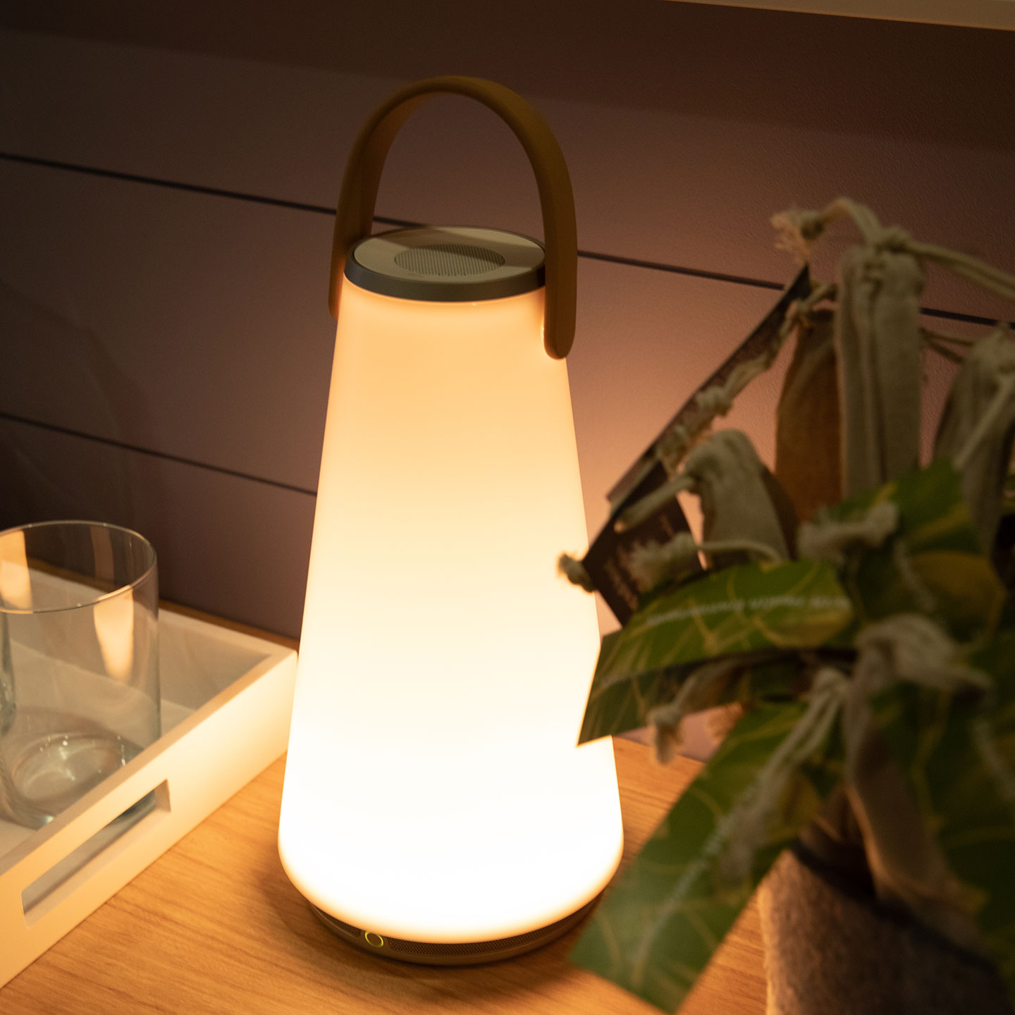 Haworth Uma Lighting on wood desk next to plant and drink tray