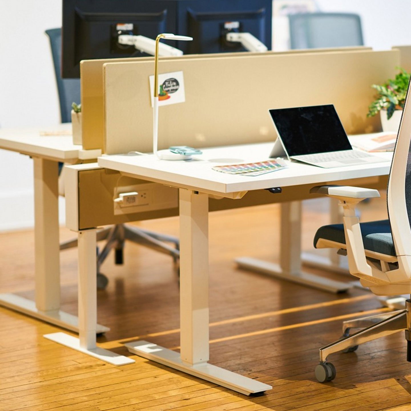 Haworth Belong Plus Sceen on height adjustable table in open office space