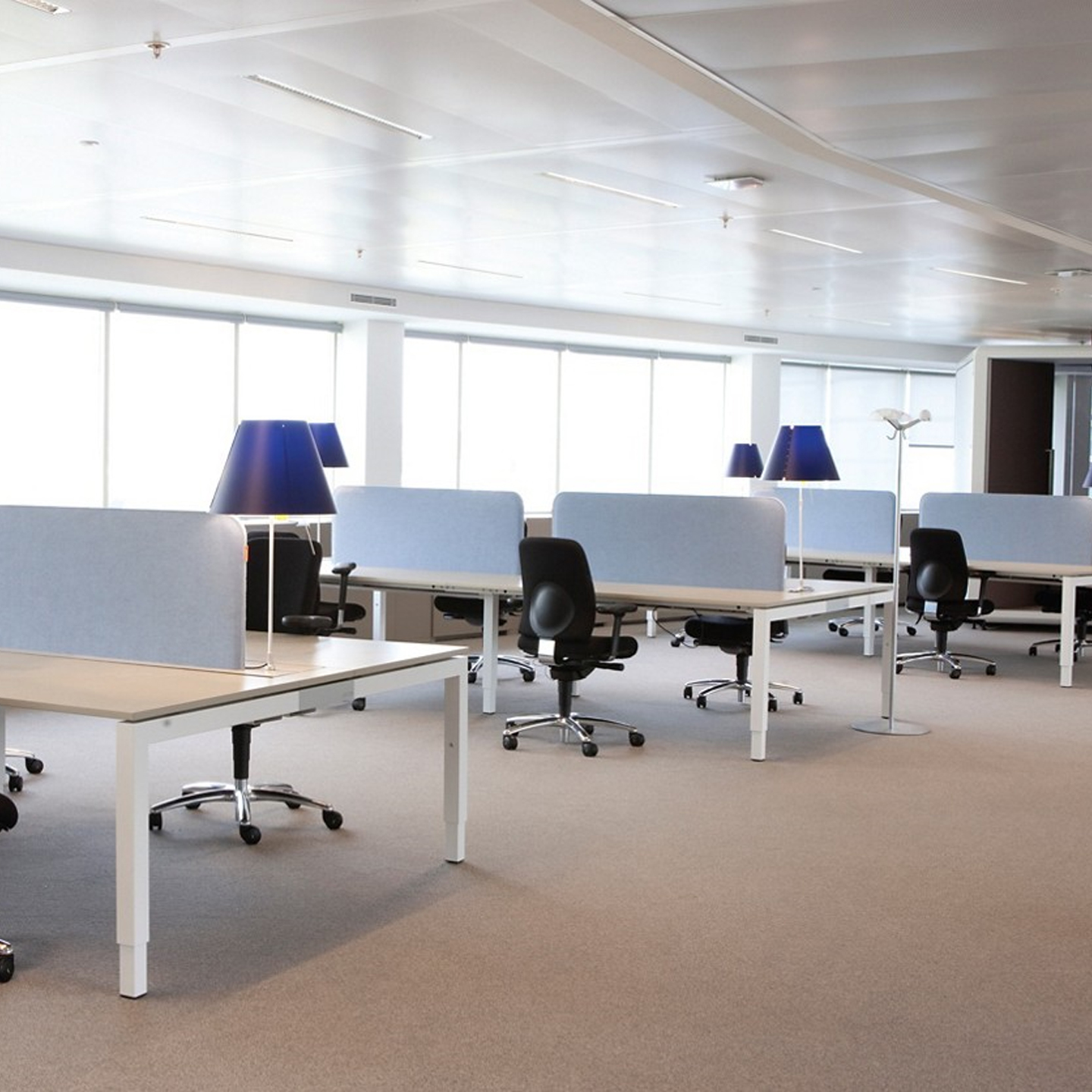 Haworth Buzzidesk Screen in open office space with blue lamps on desks