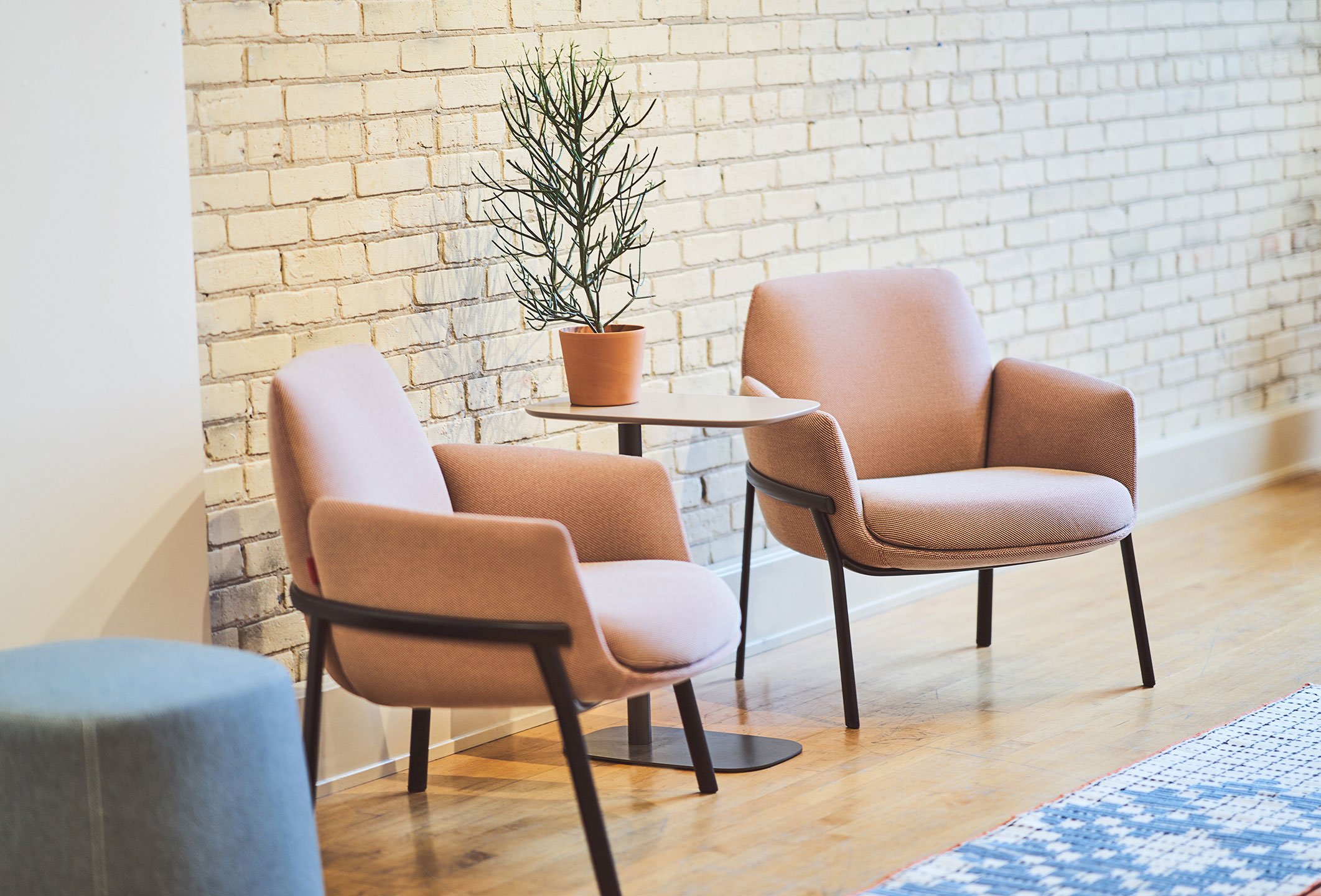 Discover Haworth s Poppy Lounge Chair
