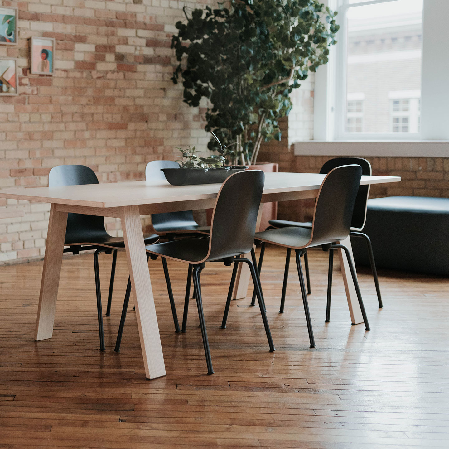 Haworth Bac Table white stained ash in casual social space 