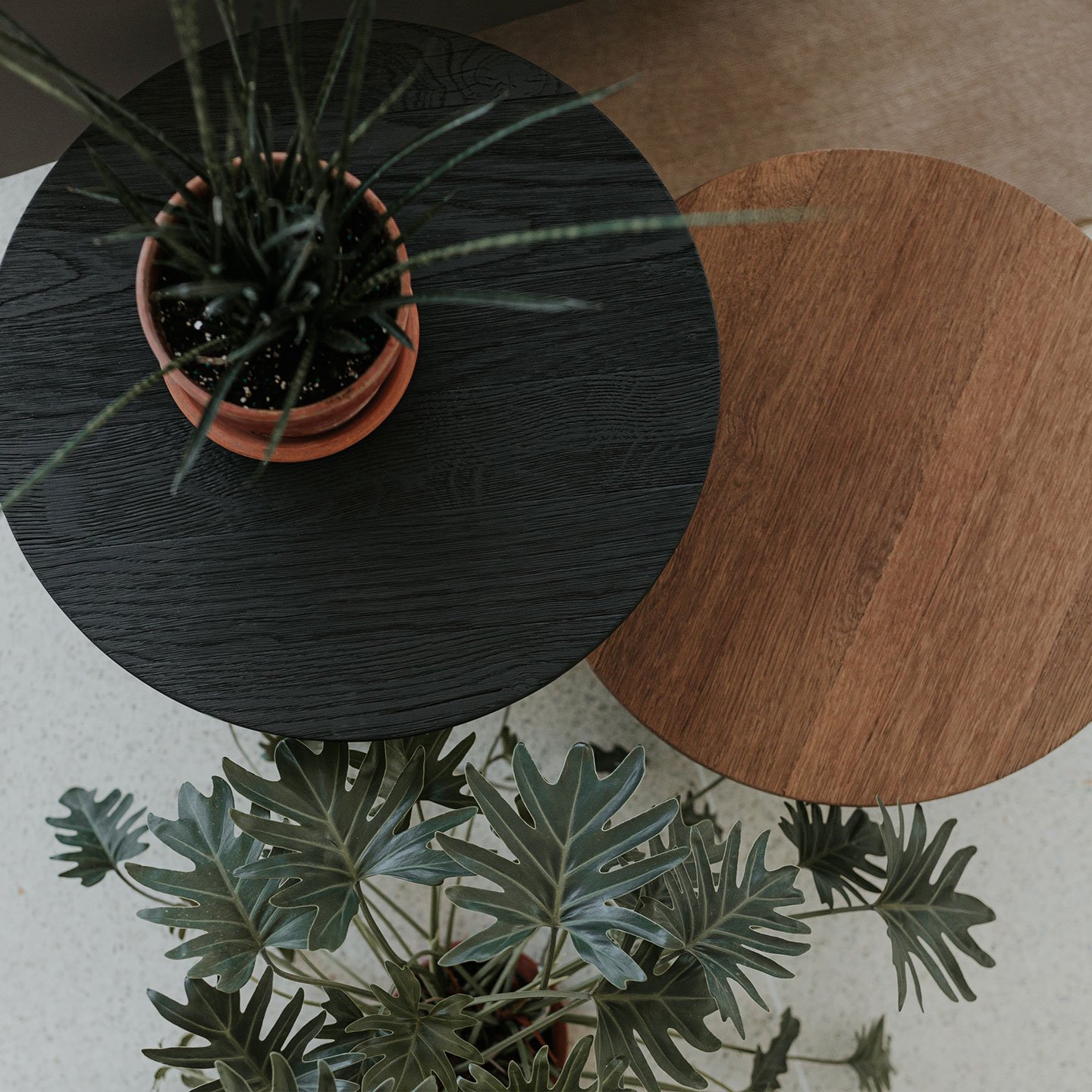 Haworth Mush Table in stained oak and wood with a plant on top of it