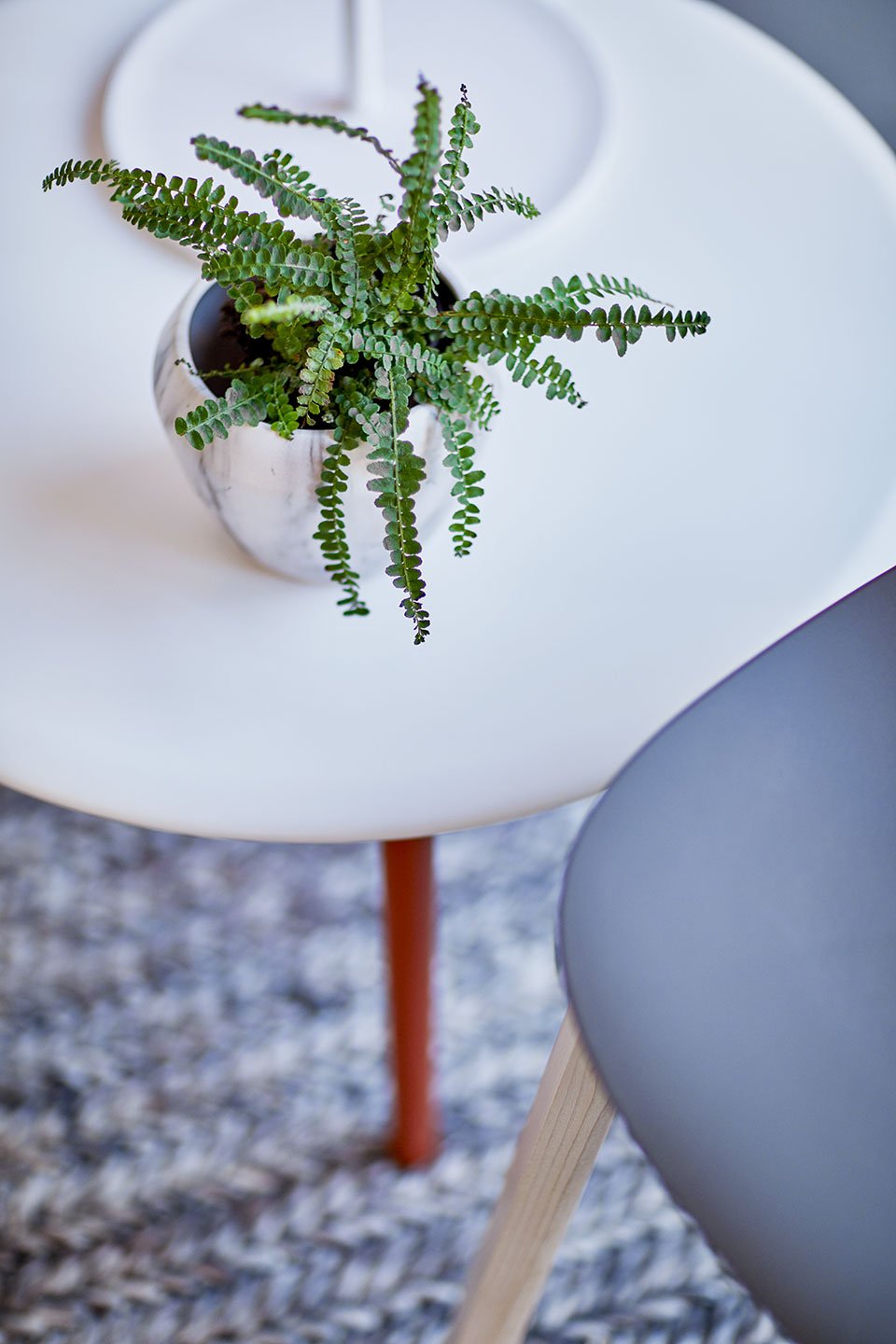 Haworth Openest Sprig Side Table with a white circular top with a plant on top next to a haworth chair 