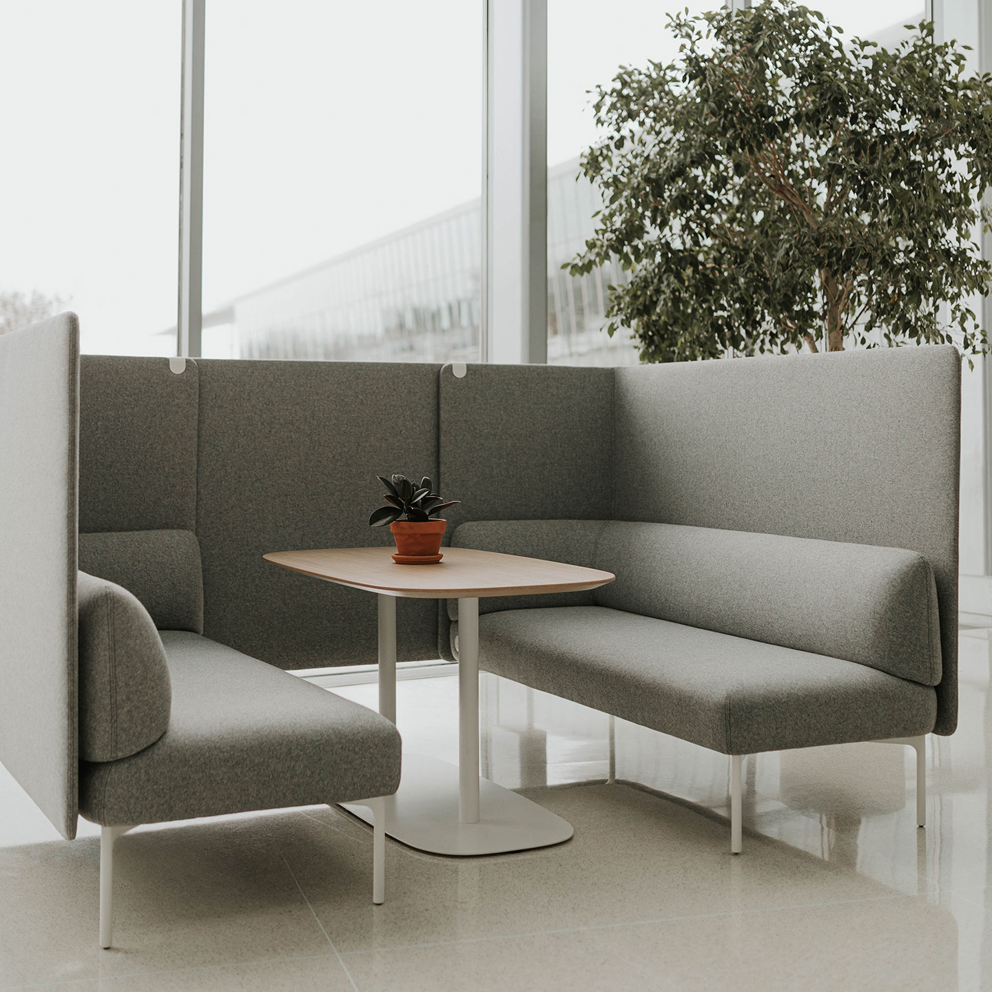 Haworth Pip Collaborative table in white oak hard wood in a closed collaboration area in a office