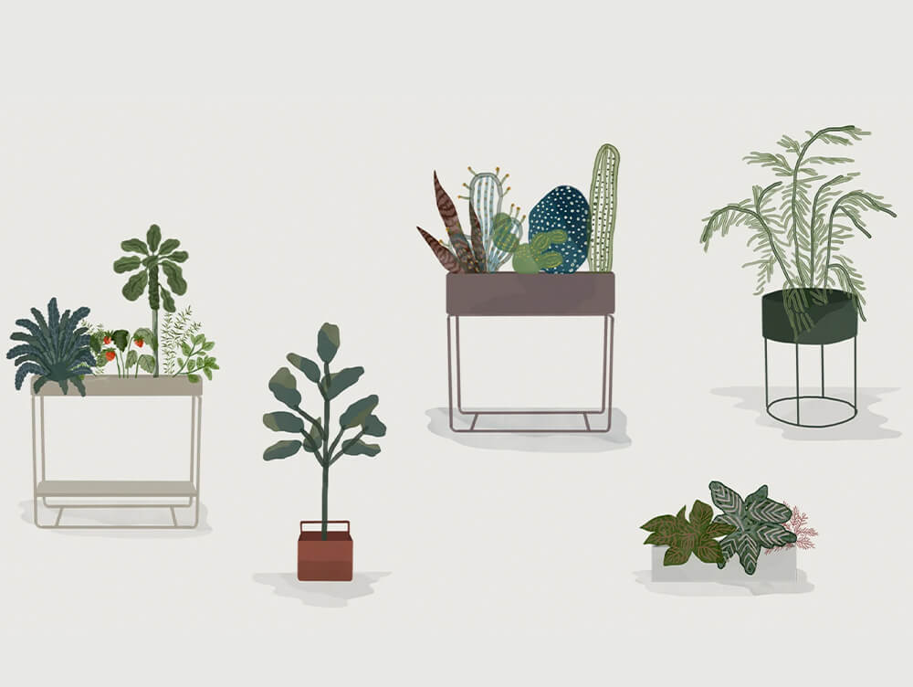 Two-Tier Plant Box