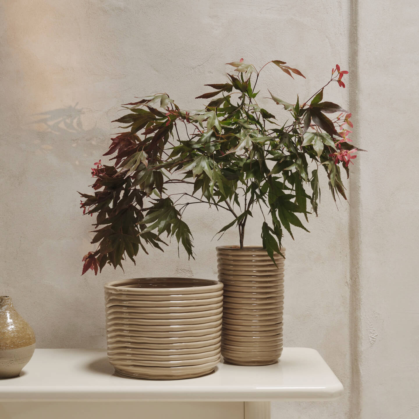 Corduroy Pot - Cashmere (FRL-CM)