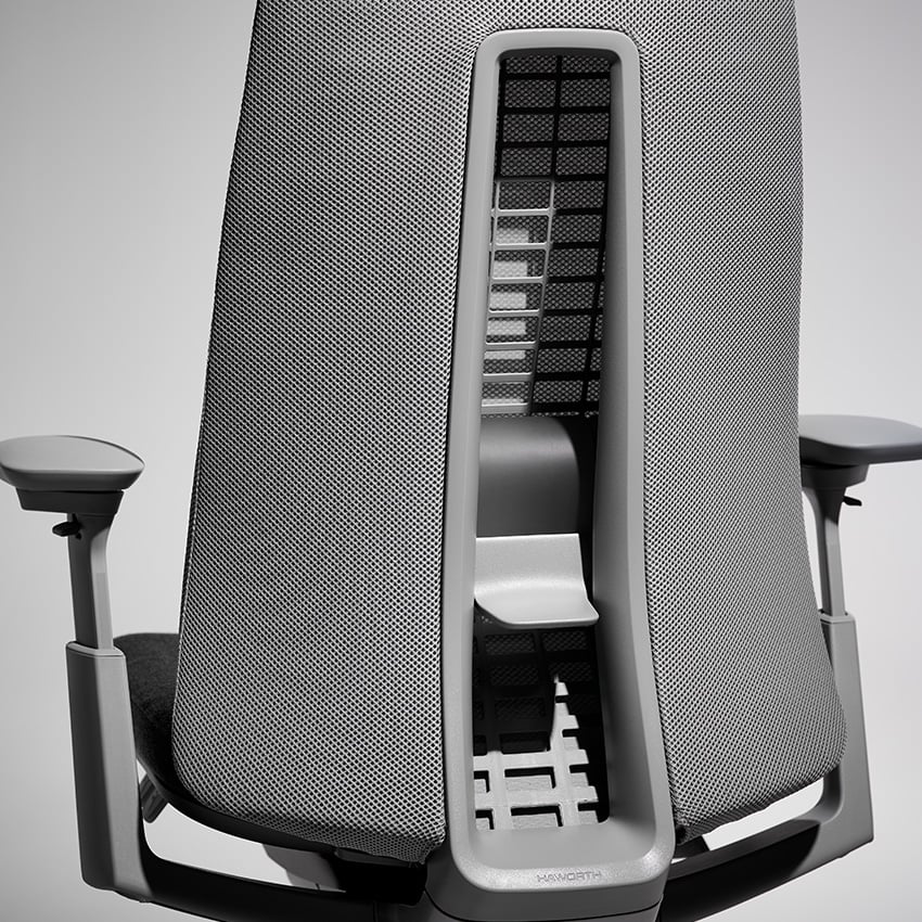 Haworth fern lumbar