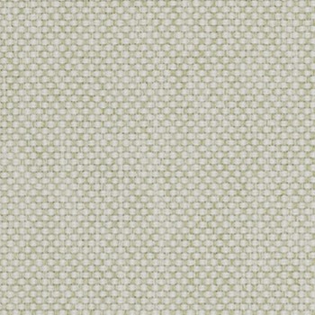 Lichen