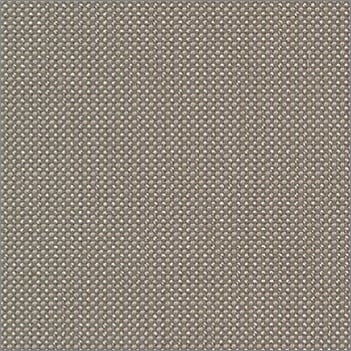Biscuit swatch
