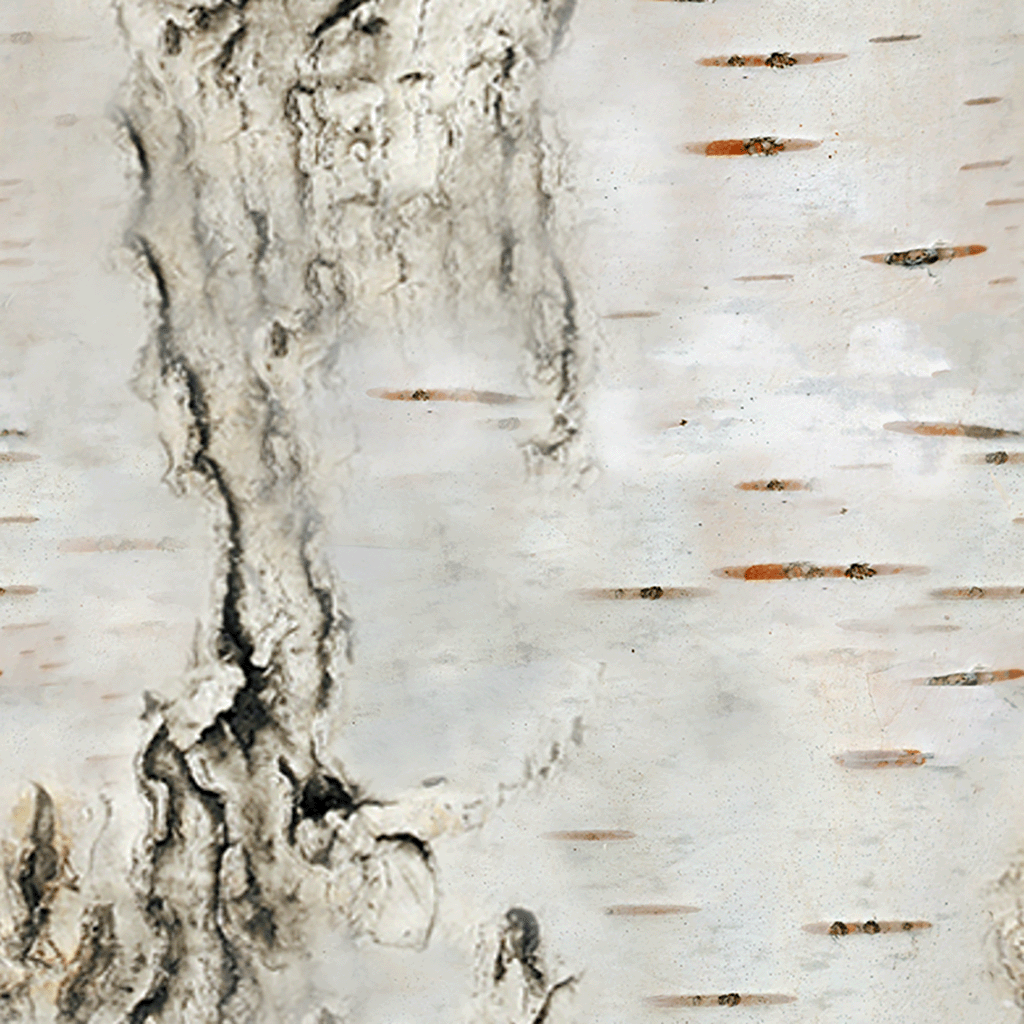 Birch swatch