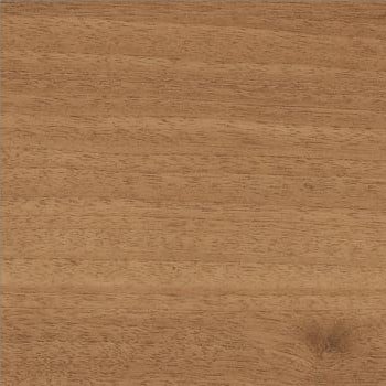 Brazilwood (HZ) swatch