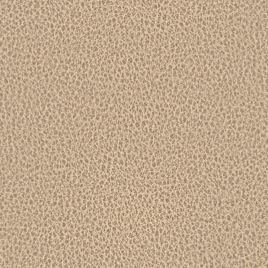 Almond swatch