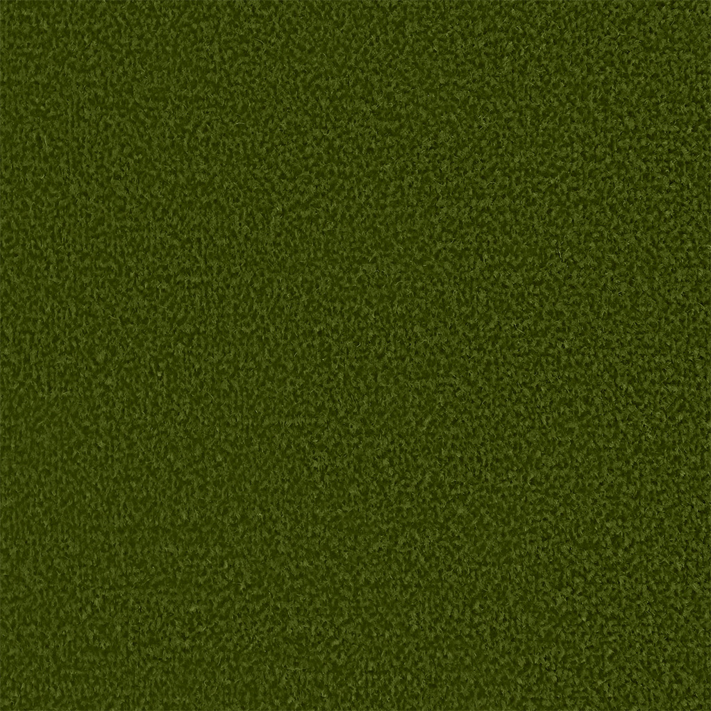 Kelp