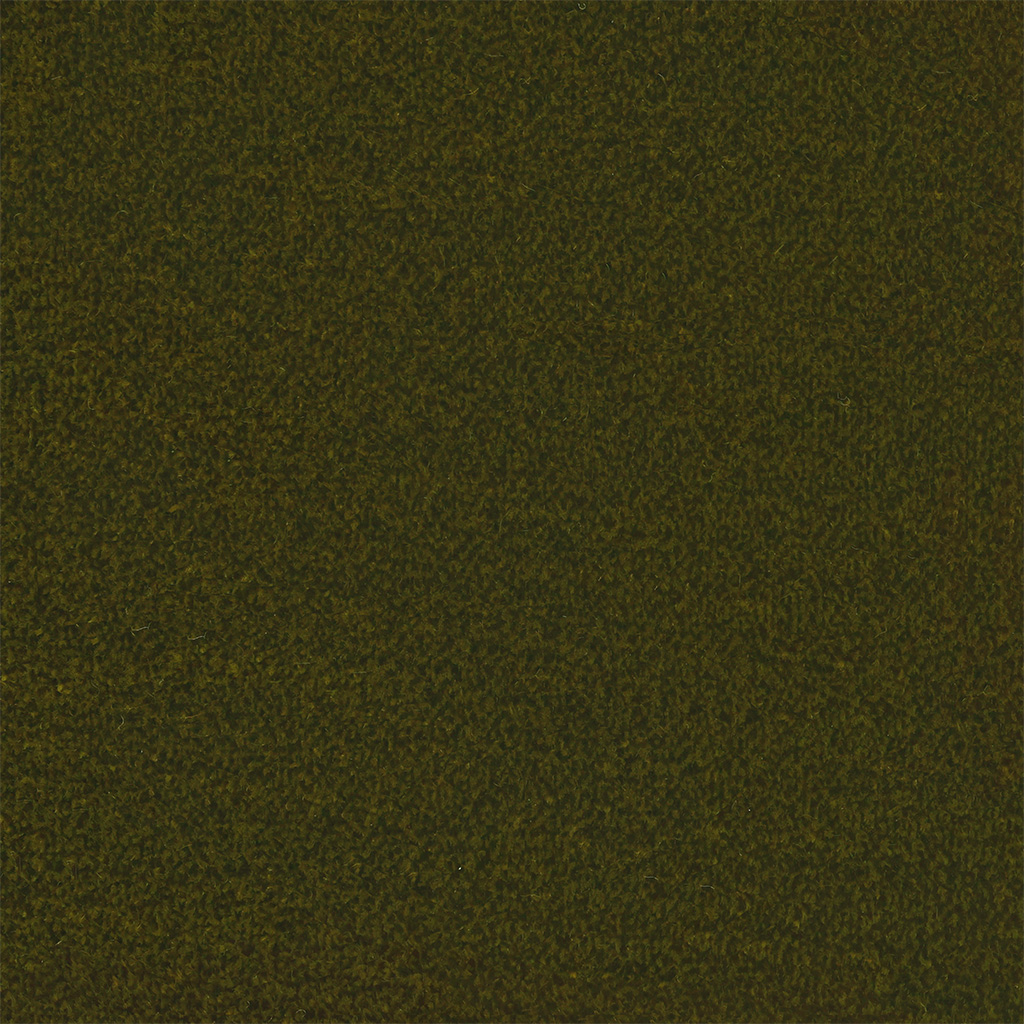 Moss