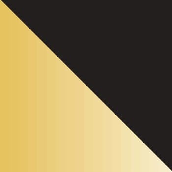 Black Exterior, Brass Interior swatch