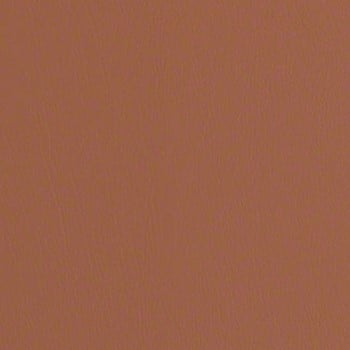 Allspice swatch