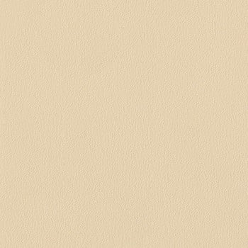 11 Bisque swatch